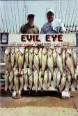 Two men pose with some very large trophy walleyes caught on Lake Erie.