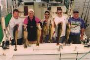 Five fishing buddies show off seven nice walleyes.