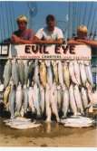Three men stand behind a full catch of Lake Erie walleye and steelhead.